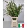 EUC GREVILLEA PB EXTRA